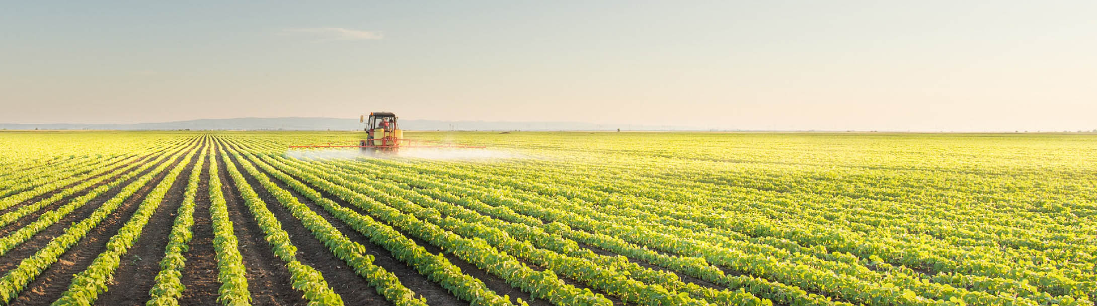 defensivos agrícolas