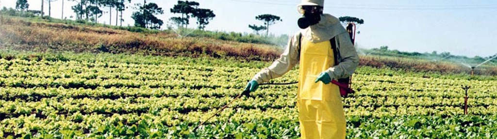 defensivos agrícolas