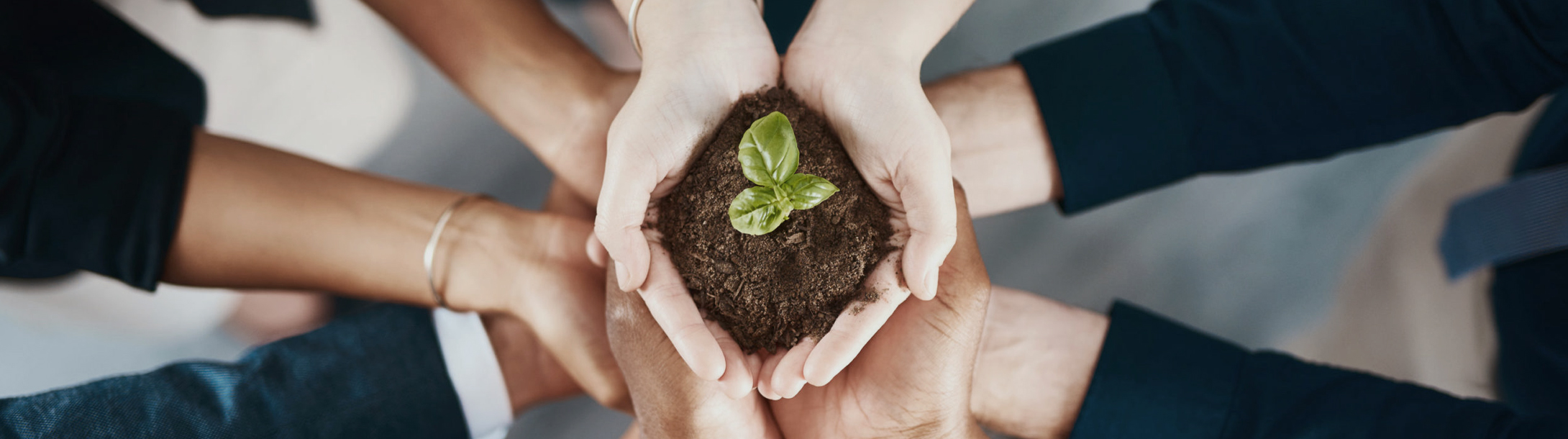 empresas sustentáveis